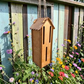 Build your own Butterfly House Flat Pack kit - Pre-varnished